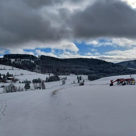 Апартаменты Schwarzwaldblick Титизее-Нойштадт Экстерьер фото